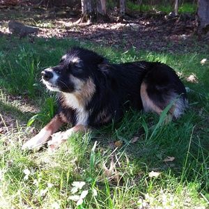 Meet your Posher, Leia